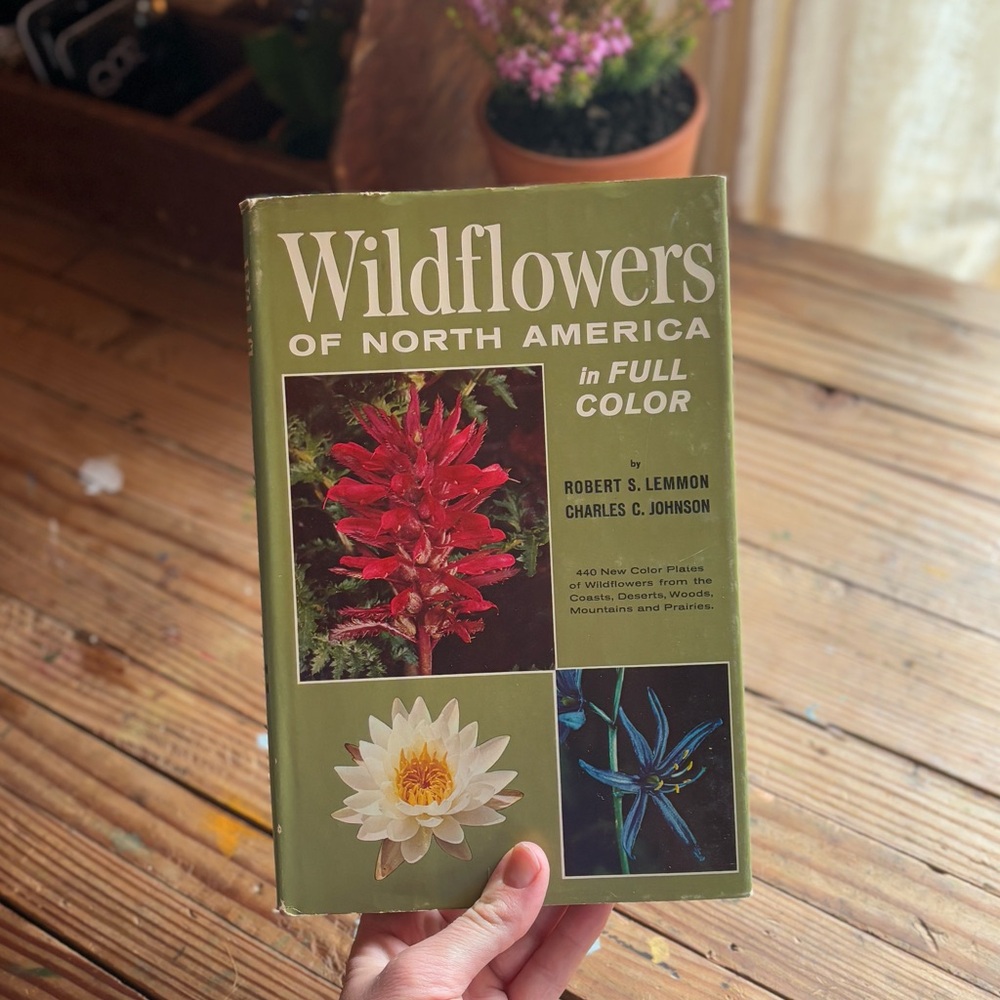 Vintage Wildflower Identification Book “Wildflowers of North America”